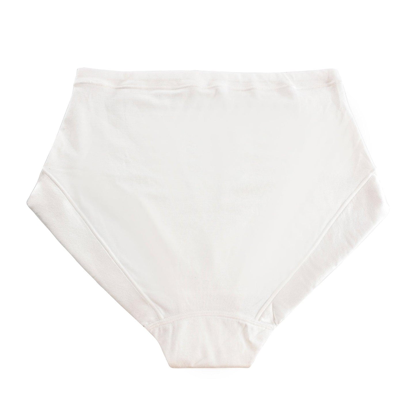Faustine Silk & Organic Cotton Full Brief