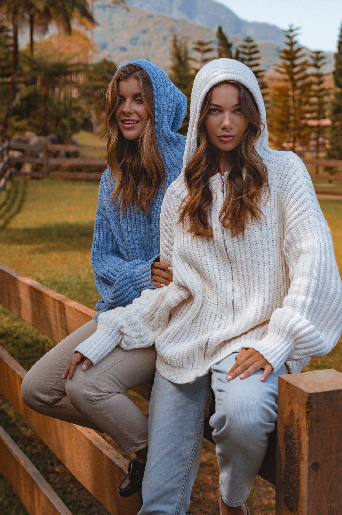 Zinnia Long Sleeve Hooded Sweater