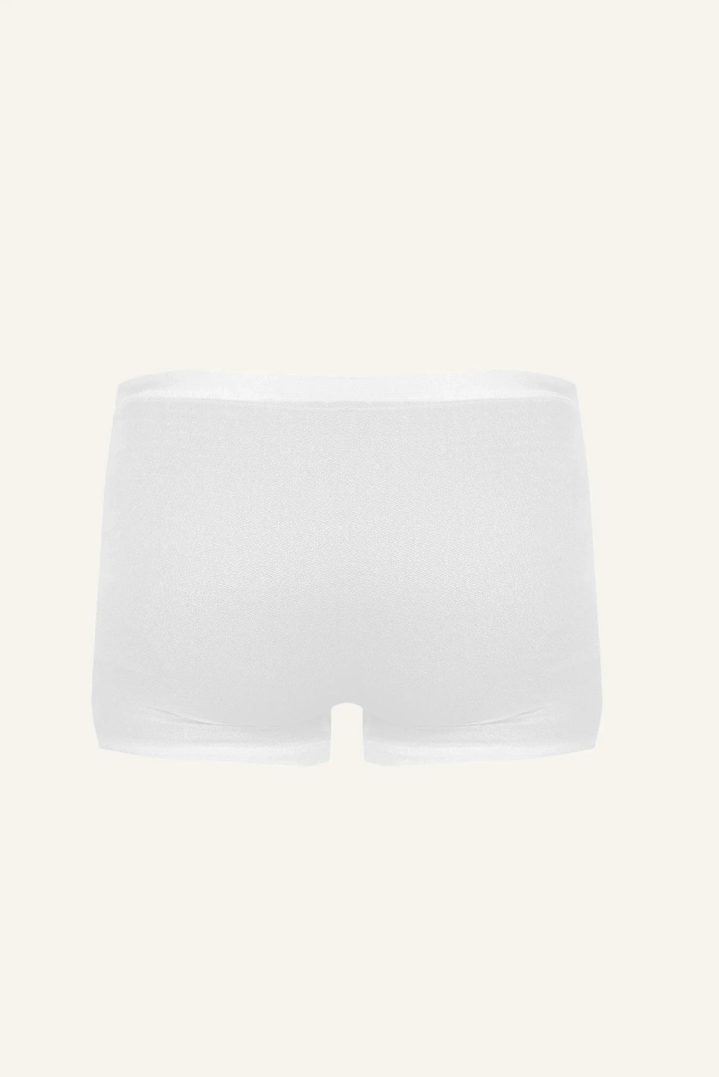 Dexter Silk Boxer Briefs