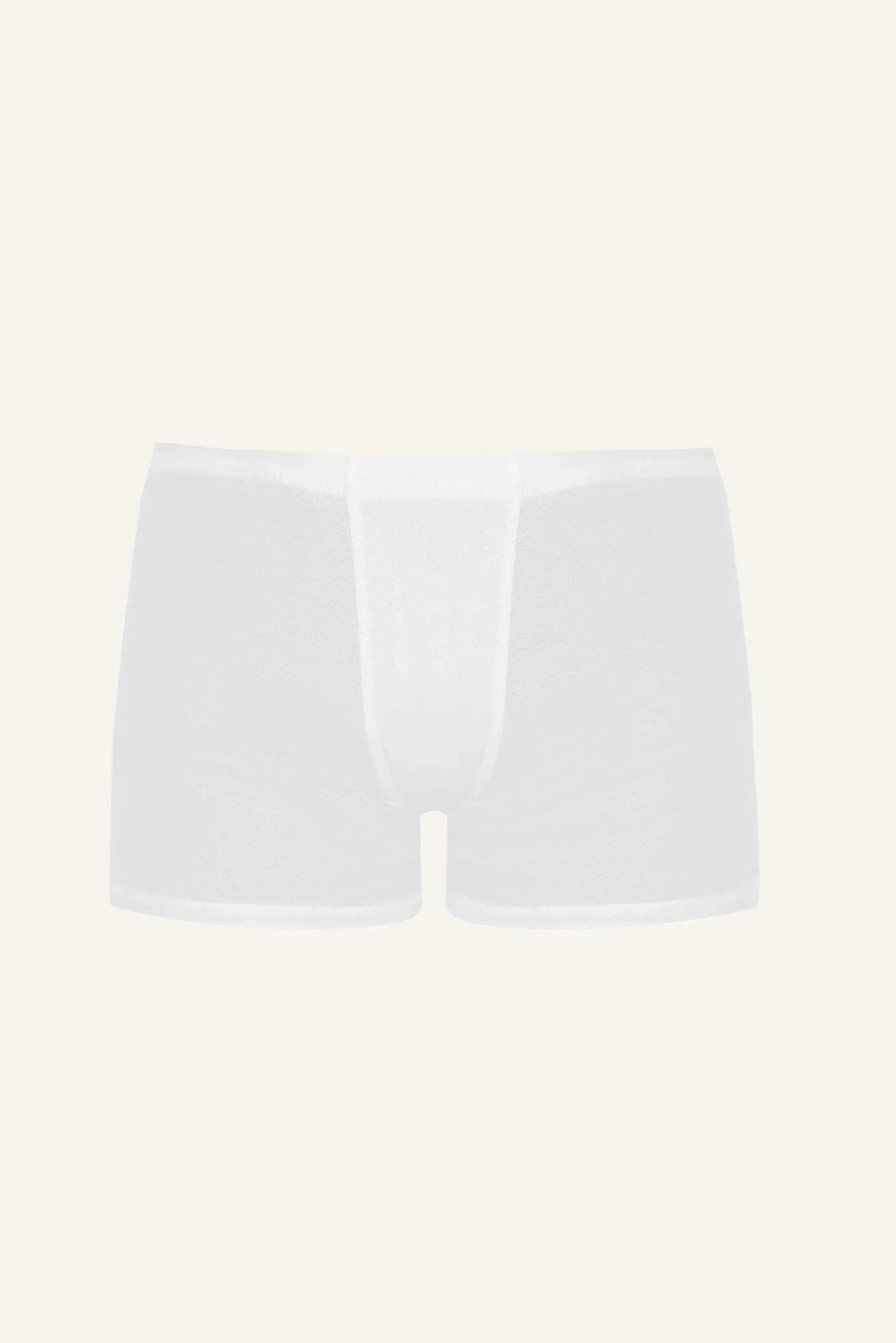 Dexter Silk Boxer Briefs