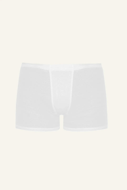 Dexter Silk Boxer Briefs